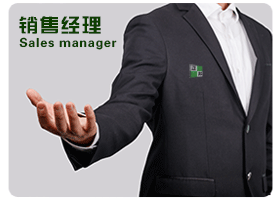 Sales Manager